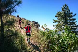 BIB: 
                            <button type="button" onclick="openModal(26603126)" class="btn btn-primary btn-sm float-right btn-popup" data-toggle="modal" data-target=".modal-high-quality">
                        <i class="fas fa-shopping-cart"></i> Add to Cart
                    </button>
                                            <button type="button" onclick="isThisMe(26603126, true)" class="btn btn-success btn-sm float-right btn-popup btn-isme hidden" data-toggle="tooltip" data-placement="bottom" title="นี่คือรูปของคุณใช่ไหม คลิกที่นี่เพื่อเอาเข้าอัลบั้ม">
                        <i class="fas fa-plus"></i> Add to album
                    </button>
                    <button type="button" onclick="isThisMe(26603126, false)" class="btn btn-warning btn-sm float-right btn-popup btn-isnotme hidden">
                        <i class="fas fa-ban"></i> Remove from album
                    </button>